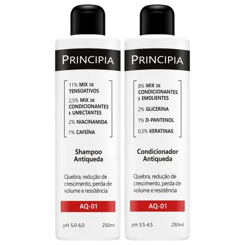 PRINCIPIA - KIT SHAMPOO E CONDICIONADOR ANTIQUEDA AQ01 - 60%OFF