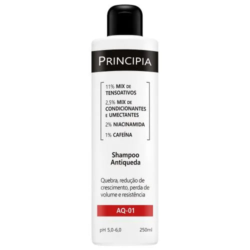 PRINCIPIA - KIT SHAMPOO E CONDICIONADOR ANTIQUEDA AQ01 - 60%OFF